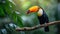 A bright beautiful toucan bird sits on a branch. Green tropical forest background blurred from behind
