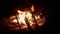 Bright Blazing Bonfire with Fading Out Flame in the Night Forest Outdoor. 4K