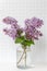 Bright blooms of spring lilacs on a table in house. Spring purple flowers close-up. Selected focus