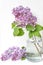 Bright blooms of spring lilacs on a table in house. Spring purple flowers close-up. Selected focus