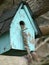 Bright Blue Bird House with a Shingled Roof Overflowing with Nesting Material Hangs in a Tree