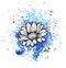 A bright blue formless watercolor blot. Ink daisy flower line graphic sketch