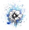 A bright blue formless watercolor blot. Ink poppy flower line graphic sketch