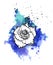 A bright blue formless watercolor blot. Rose ink flower line graphic