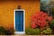 Bright blue front door of house with autumn bushes growing nearby