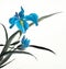 Bright blue iris flower