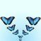 Bright blue morpho butterflies on blue background with copy space