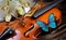 Bright blue morpho butterfly and violin. violin and lily on a silk background.