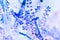 Bright Blue Negative Wallpaper Of Tree Leafs