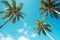 Bright blue sky view of tall palm trees backlit by tropical sun from below