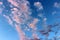 Bright blue sky with wispy pink clouds moving across the face of it
