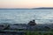 Bright blue water of puget sound along shoreline of washington