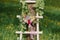 Bright bride`s bouquet on a white stepladder on a green grass