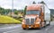 Bright brown big rig bonnet long haul semi truck transporting cargo in dry van semi trailer moving on the straight wide highway