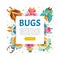 Bright Bugs and Beetle Insect with Wings Vector Design Template