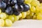 Bright bunches of white and blue grapes closeup