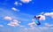 Bright butterfly flying in the blue sky with clouds. flying blue butterfly. morpho butterfly. copy spaces