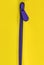 Bright buttoned purple zipper on a yellow background. Flat lay