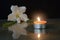 Bright candle light and white flower on the glass