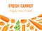 Bright Carrot Vegetable and Crop Banner Design Vector Template