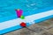 Bright children`s plastic toys, molds for the game, stand on the shore of the children`s pool. Games in the children`s pool.