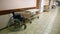 Bright, clean hallway in a medical facility - along the walls are medical bed and wheel-chair