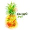 Bright color pineapple fruit and lettering on white background with watercolor stains. Vector illustration.