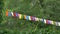 Bright colored flags flutter in wind on sunny warm day. Garland of party flags