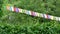 Bright colored flags flutter in wind on sunny warm day. Garland of party flags