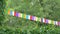 Bright colored flags flutter in wind on sunny warm day. Garland of party flags