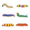 A bright colored set of different insect caterpillars. Different larvae of butterflies and beetles.Each object is
