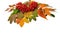 Bright colorful autumn leaves of deciduous trees and a bunch of mountain ash with red ripe berries