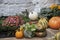 Bright colorful autumn pumpkins and flowers arranged on steps agains white painted stone wall