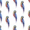 Bright colorful beautiful lovely sophisticated jungle tropical yellow, green, red and blue big tropical parrots diagonal pattern