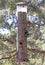 Bright Colorful Birds on a Tall Birdseed Feeder