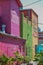 Bright Colorful Buildings of wood and plaster And Tropical Plants