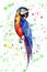 Bright colorful cute beautiful jungle tropical yellow and blue big parrot on a colorful spray background watercolor hand illustrat