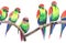 Bright colorful cute beautiful jungle tropical yellow and green parrots on a branch pattern