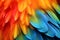 Bright colorful feathers of exotic parrot bird