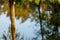 Bright colorful fishing bobber floats in water surface of lake, river with trees reflection. Weekend holiday leisure