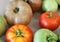 Bright and colorful fresh tomatoes just picked from the backyard garden