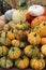 Bright and colorful pumpkins and gourds in open farmers market