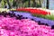 Bright colorful tulip flower beds in the spring tulip festival Emirgan Park, Istanbul, Turkey
