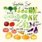 Bright and colorful Vegetables set. Vector