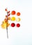 Bright colors of autumn, open acrylic paints and a decorative twig with berries and a leaf on white background, close-up, copy