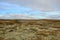 Bright colors of autumn in the tundra