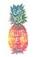 Bright colors hand drawn watercolor pineapple silhouette with grunge lettering inside