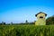 Bright coloured house on a rice terrace