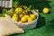 Bright composition of lemons in basket