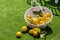 Bright composition of lemons in basket